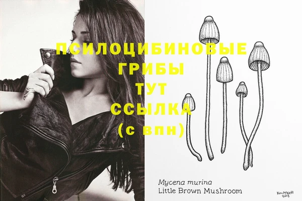 мдма Приозерск