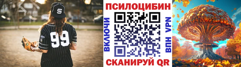 Псилоцибиновые грибы Psilocybe Руза